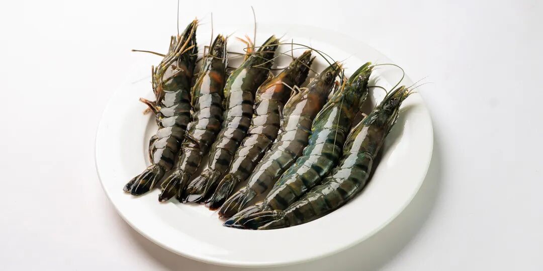 Stake(中国区)官方网站